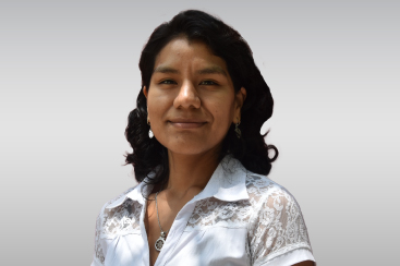 mamani