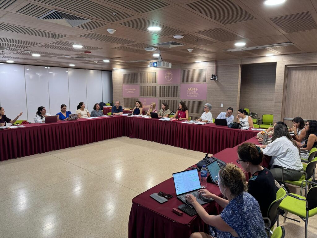 DOCENTES DE LA FAPSI PARTICIPARON COMO ENTIDAD EXPERTA EN REUNIÓN ...